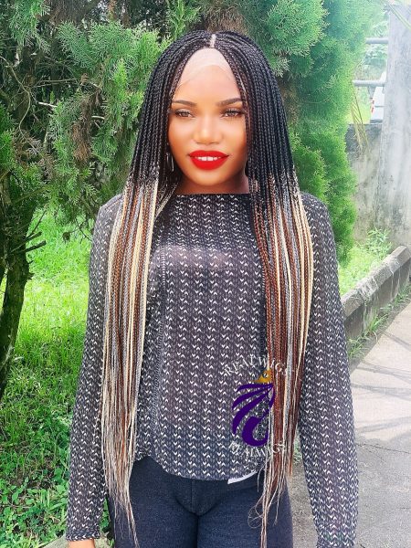 Noura -Braided Multi Coloured Ombré Wig