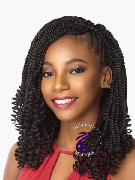 Cam Crochet Kinky Braided Wig