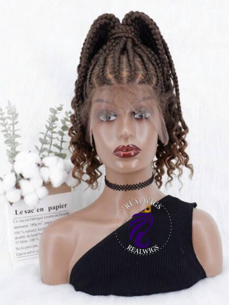 Sia-Braided up-do Wig